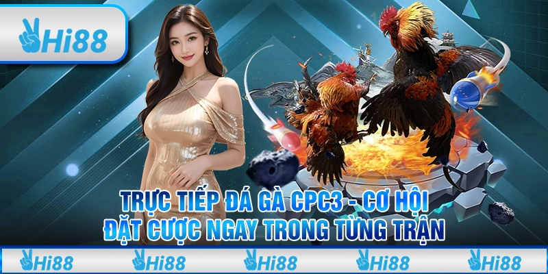 Trực tiếp đá gà cpc3 tại Hi88 - Cơ hội đặt cược ngay trong từng trận