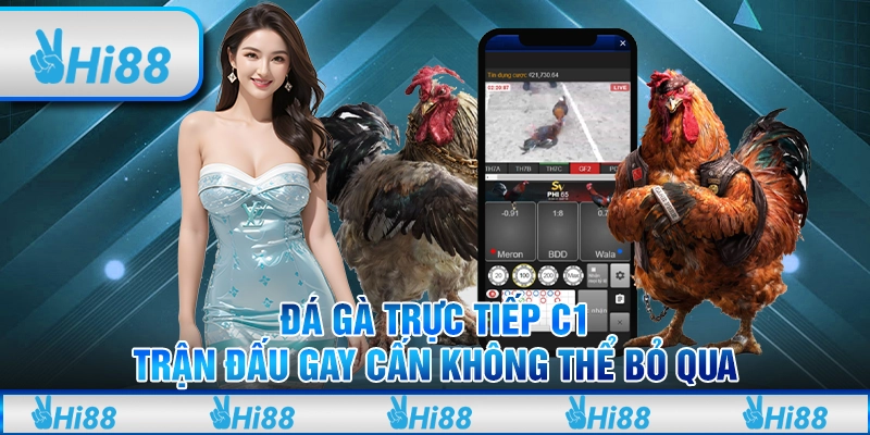Đá gà trực tiếp C1 – Trận đấu gay cấn không thể bỏ qua