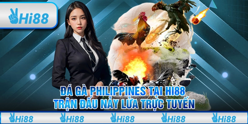 Đá Gà Philippines Hi88 - Trận Đấu Nảy Lửa Trực Tuyến
