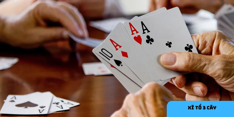  Quy trình chơi xì tố 3 cây gồm chia bài, đặt cược, và so bài.