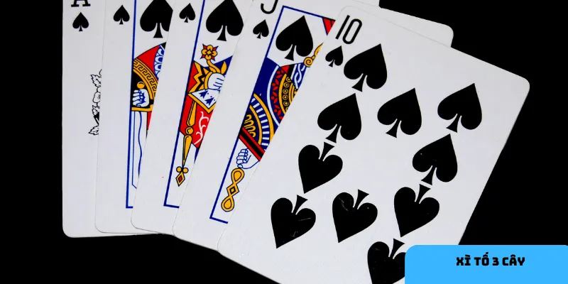  Xì tố 3 cây là trò chơi bài nhanh gọn và đầy chiến thuật.
