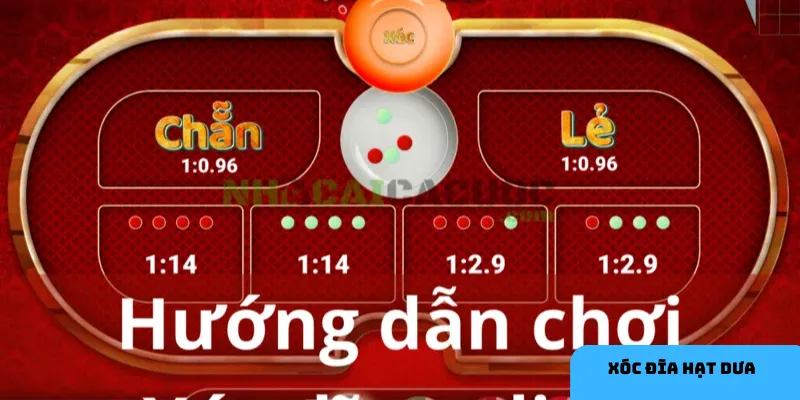  Quản lý vốn tốt giúp bạn duy trì cuộc chơi lâu dài và hiệu quả.