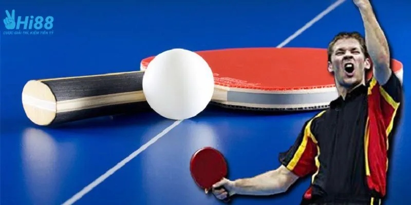 Khám phá một số thông tin về cá cược bóng bàn