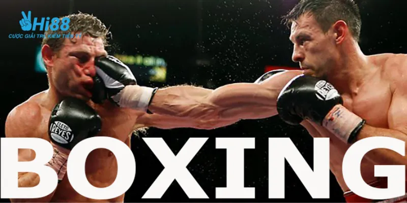 Một vài thông tin cơ bản về cá cược boxing