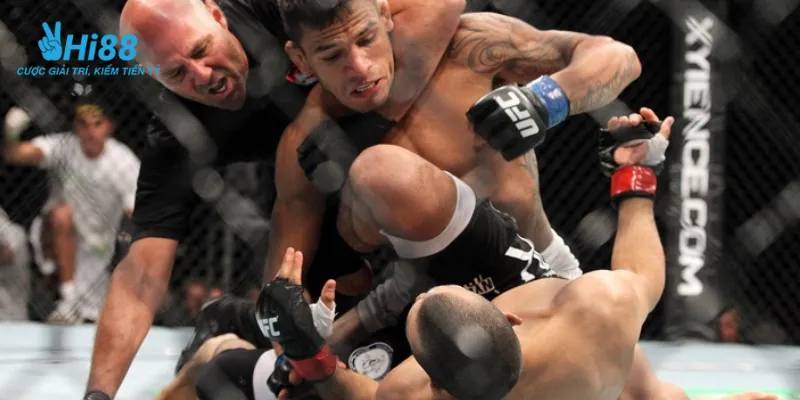 Chỉ dẫn chọn kèo cược boxing chuẩn xác nhất