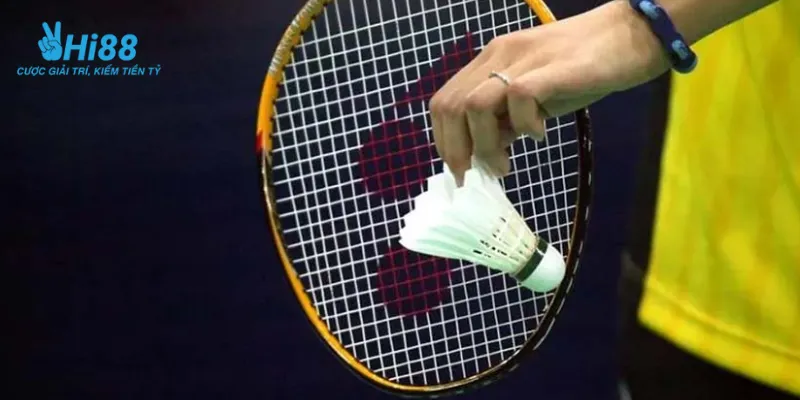 Khái quát thông tin về cá cược cầu lông