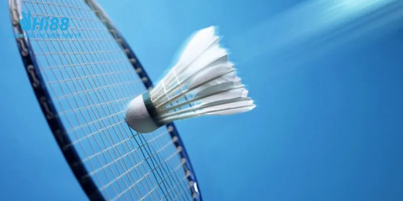 Khám phá các loại kèo cá cược cầu lông phổ biến