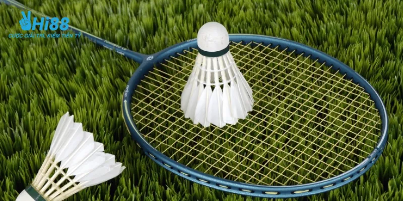 Mẹo cá cược cầu lông giúp bạn chắc chắn chiến thắng