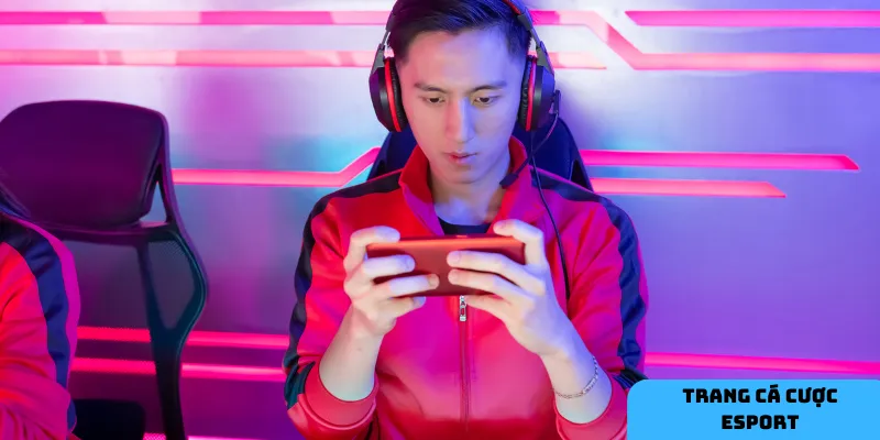 Tầm quan trọng của trang cá độ uy tín.