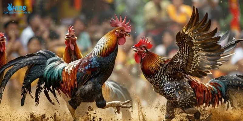 Một số loại cược đá gà cpc3 phổ biến