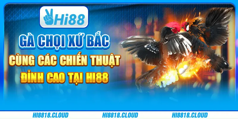 Gà chọi xứ bắc cùng các chiến thuật đỉnh cao tại hi88
