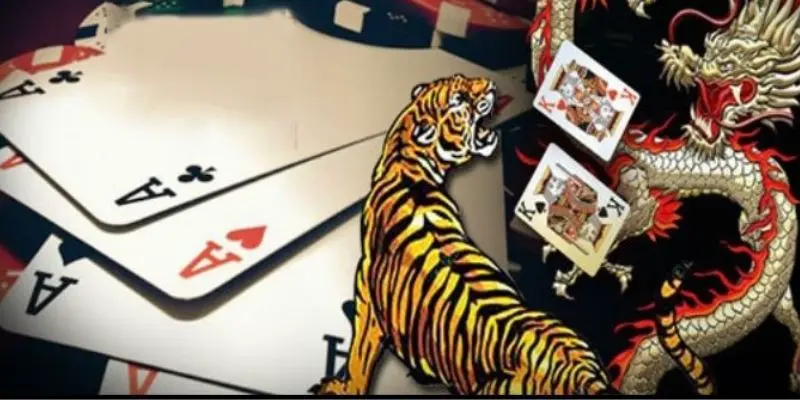 Nên tìm hiểu về luật chơi Rồng Hổ cơ bản