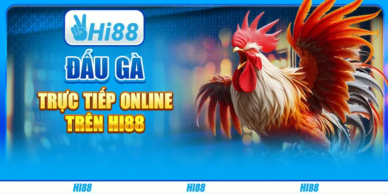 Đấu Gà Trực Tiếp Online Trên Nhà Cái Trực Tuyến Hi88