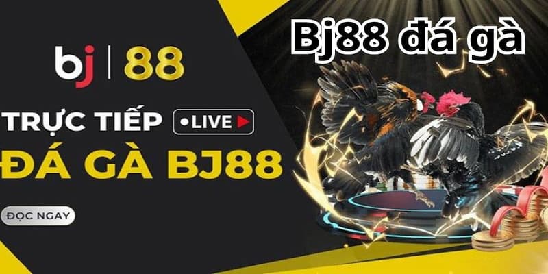 Khám phá thế giới đá gà Thomo BJ88