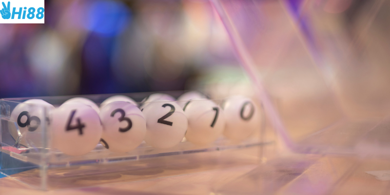 Cơ hội nhận thưởng lớn và ưu đãi từ nhà cái