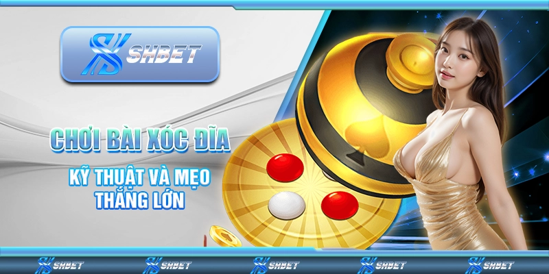 Chơi Bài Xóc Đĩa – Kỹ Thuật Và Mẹo Thắng Lớn Từ Nhà Cái