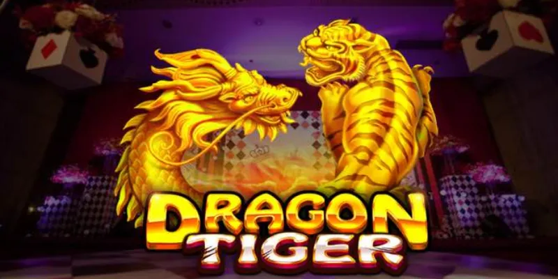 Các cửa cược chính trong Dragon Tiger gồm những gì?
