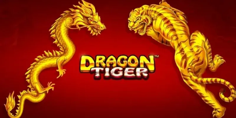 Bí quyết chơi Dragon Tiger được các cao thủ tin tưởng là gì?